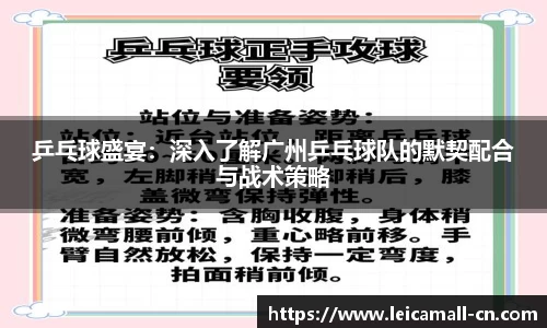 乒乓球盛宴：深入了解广州乒乓球队的默契配合与战术策略